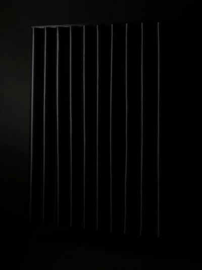 Vorhang-Systeme, SG 6870, Oscurante, Black